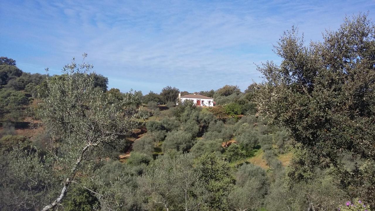 Cortijo Rural Flor De Cazalla 查兹拉德拉谢拉 外观 照片
