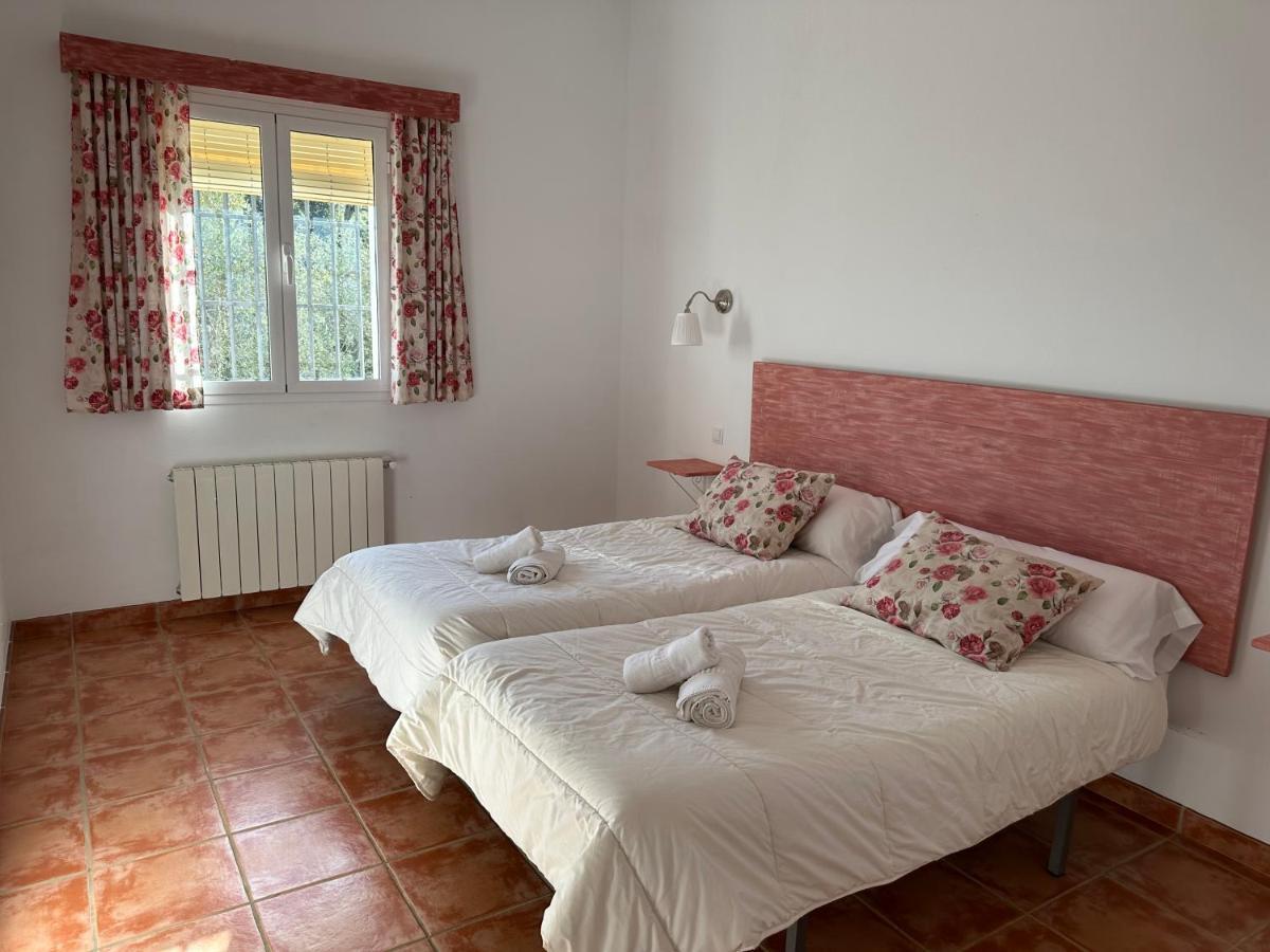 Cortijo Rural Flor De Cazalla 查兹拉德拉谢拉 外观 照片